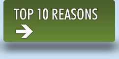 TOP 10 REASONS